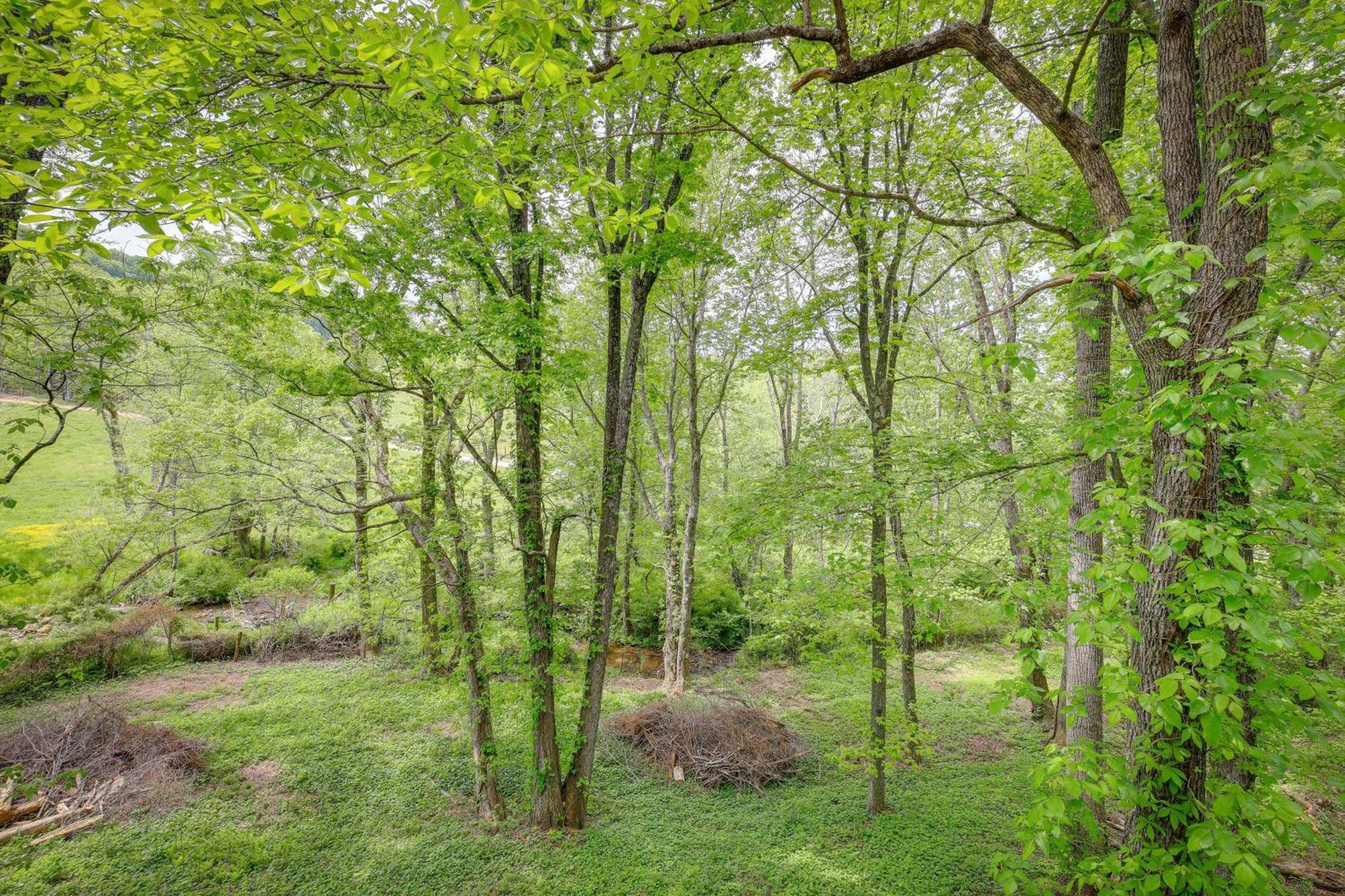 Quaint Blue Ridge Cabin Rental With On-Site Stream! Sparta Ngoại thất bức ảnh